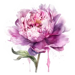 Pink Peony Clipart JPG Commercial Use Clip Art, Spring Floral Peony Clipart JPG, Digital Art Clipart, POD Allowed, Junk Journal Card Making