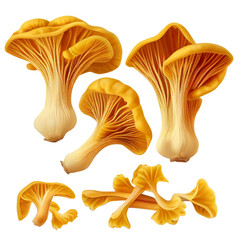 Fresh golden chanterelle mushrooms stock photo isolated on white background generated by AI