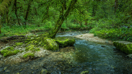 Vallon de la Fontaine Noire dans le département de l'Ain en France au printemps