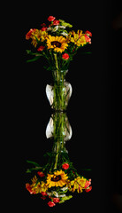 Obraz premium Beautiful view of vibrant bouquet of red carnations, sunflowers and chrysanthemum in glass vase reflecting in glass; black background