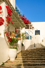 Whitewashed houses and streets, flower pots and bougainvillea of Greek