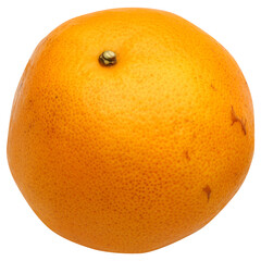 Orange fruit