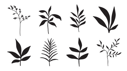 Floral elements set, botanical hand drawings art