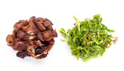 Sour tamarind with young leaves on white background.