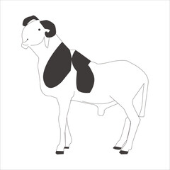 Sheep as Food and Fiber Source: Potential and Sustainability