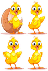 Set of baby chicken cartoon