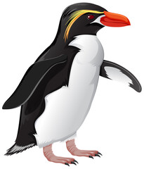 Snares Penguin on White Background