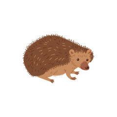 Hedgehog funny wild nature animal with spikes flat vector illustration isolated.