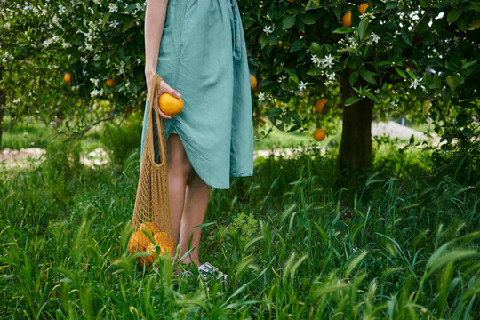 Woman holding mesh bag with oranges on grass in orchard