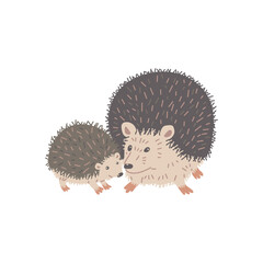 Adult and little hedgehog characters standing together flat style