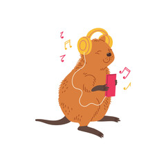 Happy quokka animal listening music in big yellow headphones flat style