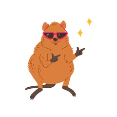 Funny quokka in sunglasses, cartoon flat vector illustration isolated on white background.