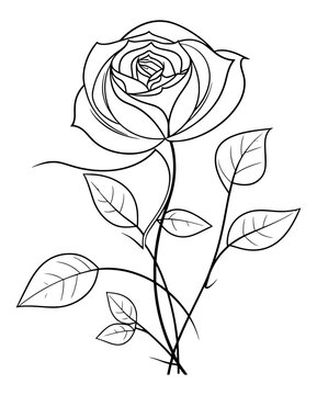 black and white rose, single line art of rose illustration isolated on white