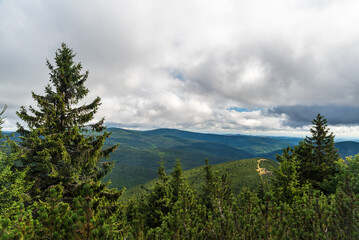 View from Vegetacni chodnik trail in Jeseniky mountains in Czech republic - obrazy, fototapety, plakaty