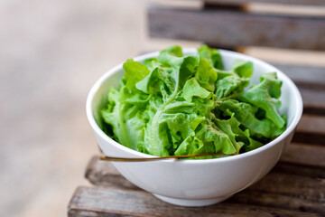 Leafy greens or lettuce in white bowls that are commonly used in salads or eaten fresh. Healthy food concept.