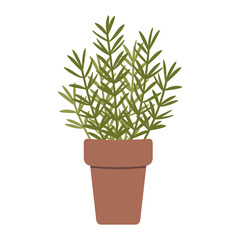 Rosemary in a pot, cartoon style. Trendy modern vector illustration isolated on white background, hand drawn, flat design