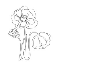 Artistic outline on a white background with space for text. Continuous drawing of flowers with one line. poppies