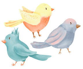 A set of bright cartoon colorful birds: blue, yellow, red. Spring characters are hand painted isolated elements. Digital watercolor illustrations hand-drawn style. element of spring, summer.