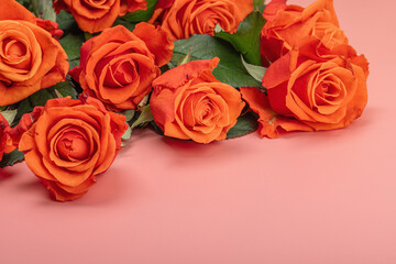 Bouquet of fresh bright roses on pastel pink background. Romantic gift concept, greeting card