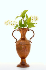 Brass vase with blooming with bird cherry branch