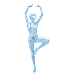 3d medical illustration of the female internal organs