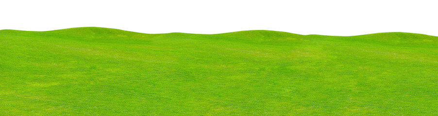 Lush green grass meadow background, grass field texture isolated over a transparent background