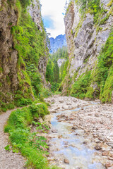 The gorge of the Martuljek stream in the Julian Alps (Slovenia) near the village of Gozd Martuljek.