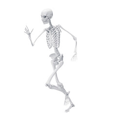 3D Rendered Medical Illustration of Female Anatomy - Skeletal System.