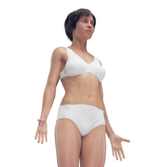 Fototapeta premium 3d medical illustration of the female body
