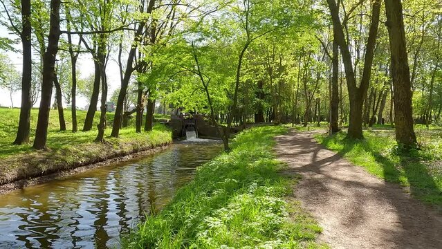 Stunning spring view of Seret river. Attractive morning scene of Topilche park, Ternopil, Ukraine, Europe. 4K video (Ultra High Definition)..
