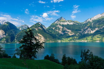 Fototapeta na wymiar Switzerland, Panoramic view on green Alps and lake Lucerne near Vitznau.