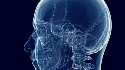 3d medical illustration of a man's skull and cervical spine