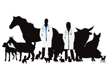 Vector silhouette of veterinary with group of animals on white background. Symbol of farm and vet. - 604823253