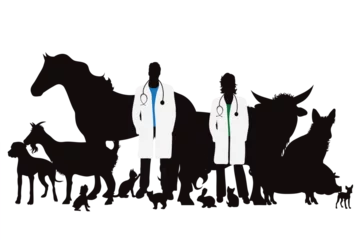 Vector silhouette of veterinary with group of animals on white background. Symbol of farm and vet. © majivecka