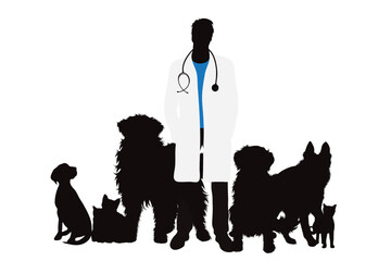 Vector silhouette of veterinary with group of animals on white background. Symbol of pet and vet.