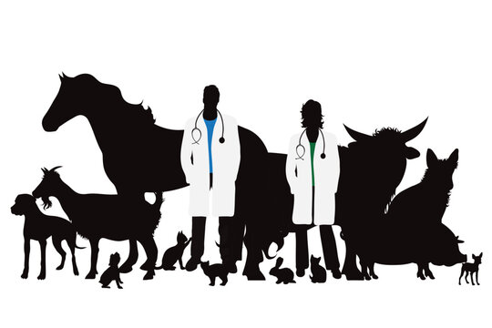 Vector silhouette of veterinary with group of animals on white background. Symbol of farm and vet.