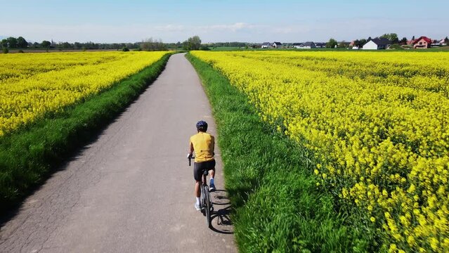 Cyclist training on bicycle. Male sportsman wearing cycling uniform and helmet riding bicycle on countryside road near blooming rapeseed fields