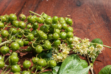 Henna or lawsonia inermis , flower , fruits and green leaves on an old wooden background.