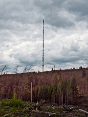 Obraz premium large radio tower stands in the middle of the forest