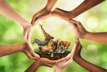 Wildlife Conservation Day. wildlife protection, multiracial human come to build hands in shape of...