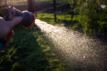 watering in vegetable garden organic gardening