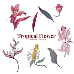 Tropical Flowers: Watercolor Drawing