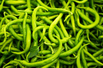 Green chilli close-up. Fresh Vegetables Background. Chili peppers.
