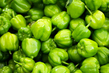 Obraz na płótnie Canvas Green chilli close-up. Fresh Vegetables Background. Chili peppers. 