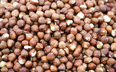 Hazelnuts close-up. Brown nuts as background.
