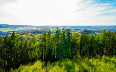 Landscape at Ebberg near Balve. Green nature with forests and meadows.

