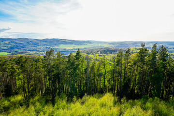 Landscape at Ebberg near Balve. Green nature with forests and meadows.
