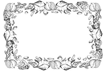 Hand drawn vector ink spiral pearl, brown and gold sea shells and starfish. Square border frame. Isolated on white background. Wall art, wedding, print, fabric, cover, card, tourism, travel booklet.