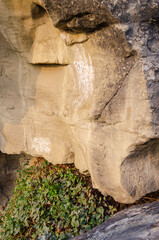 The boulder at Pompeys Pillar National Monument