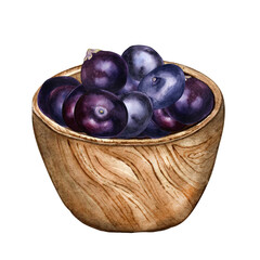 Composition of acai berries in wooden bowl watercolor illustration isolated on white. Exotic amazon small purple berries in a circle deep plate hand drawn. Design element for packaging